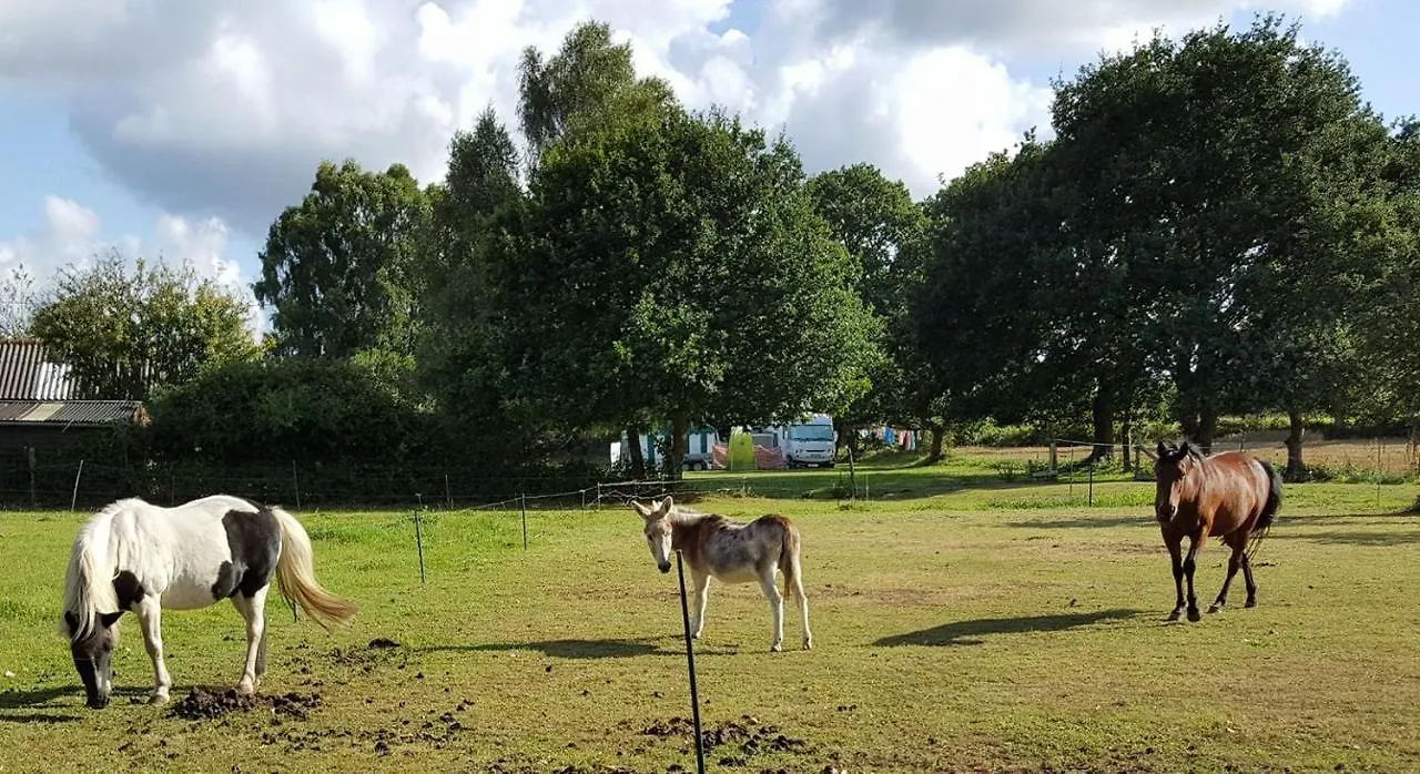 Vakantiehuis Les Gites Du Goelo Plouha